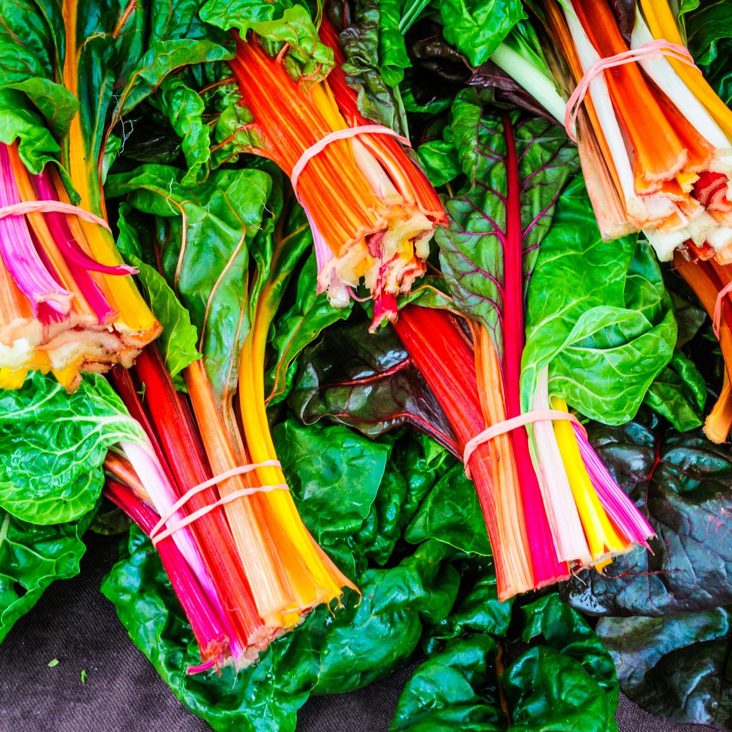 Swiss Chard 'Bright Lights'