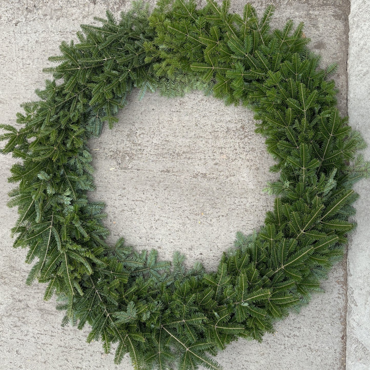 Wreath Fresh Fir DF/SR Fresh (WG)