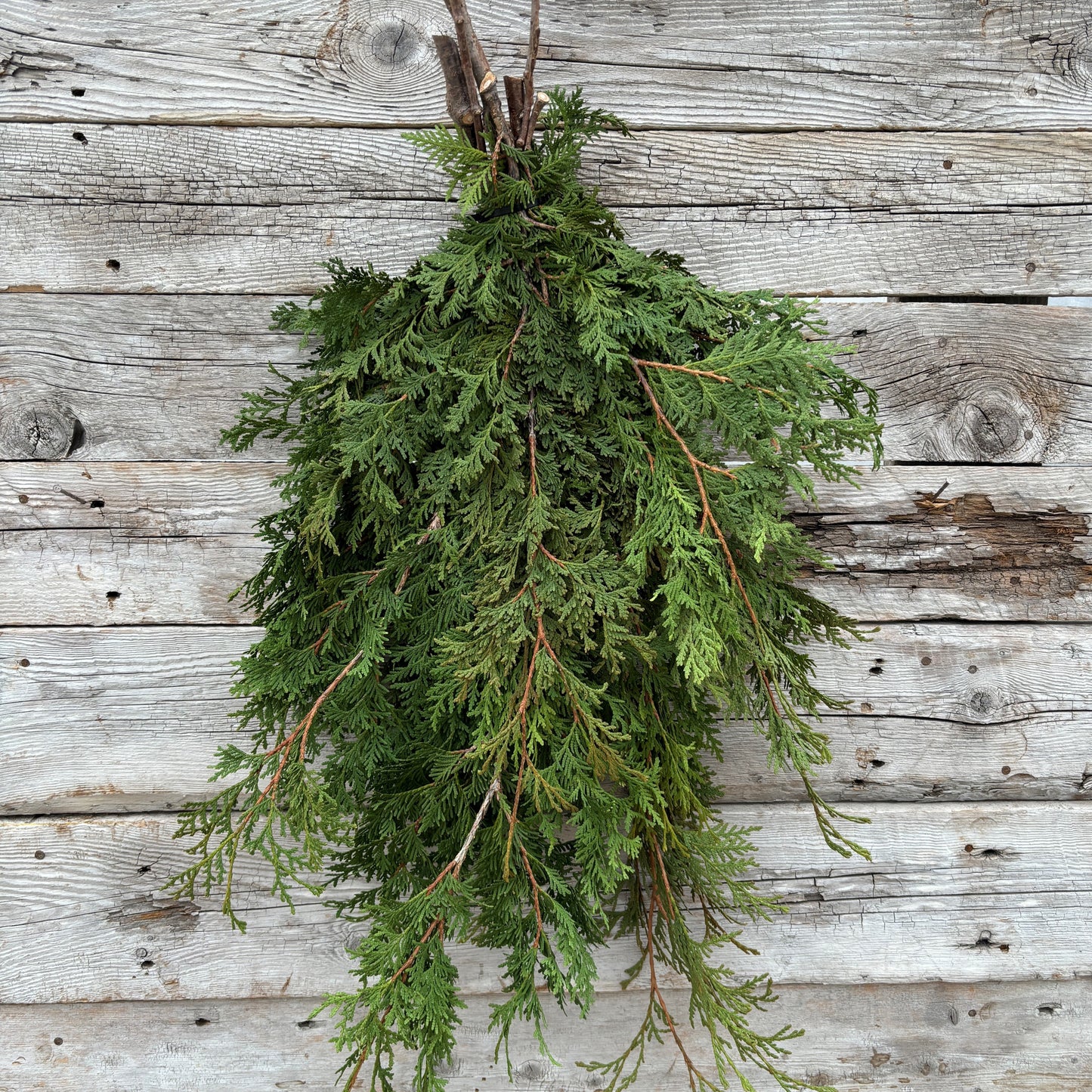 Fresh Cedar Local Bundle