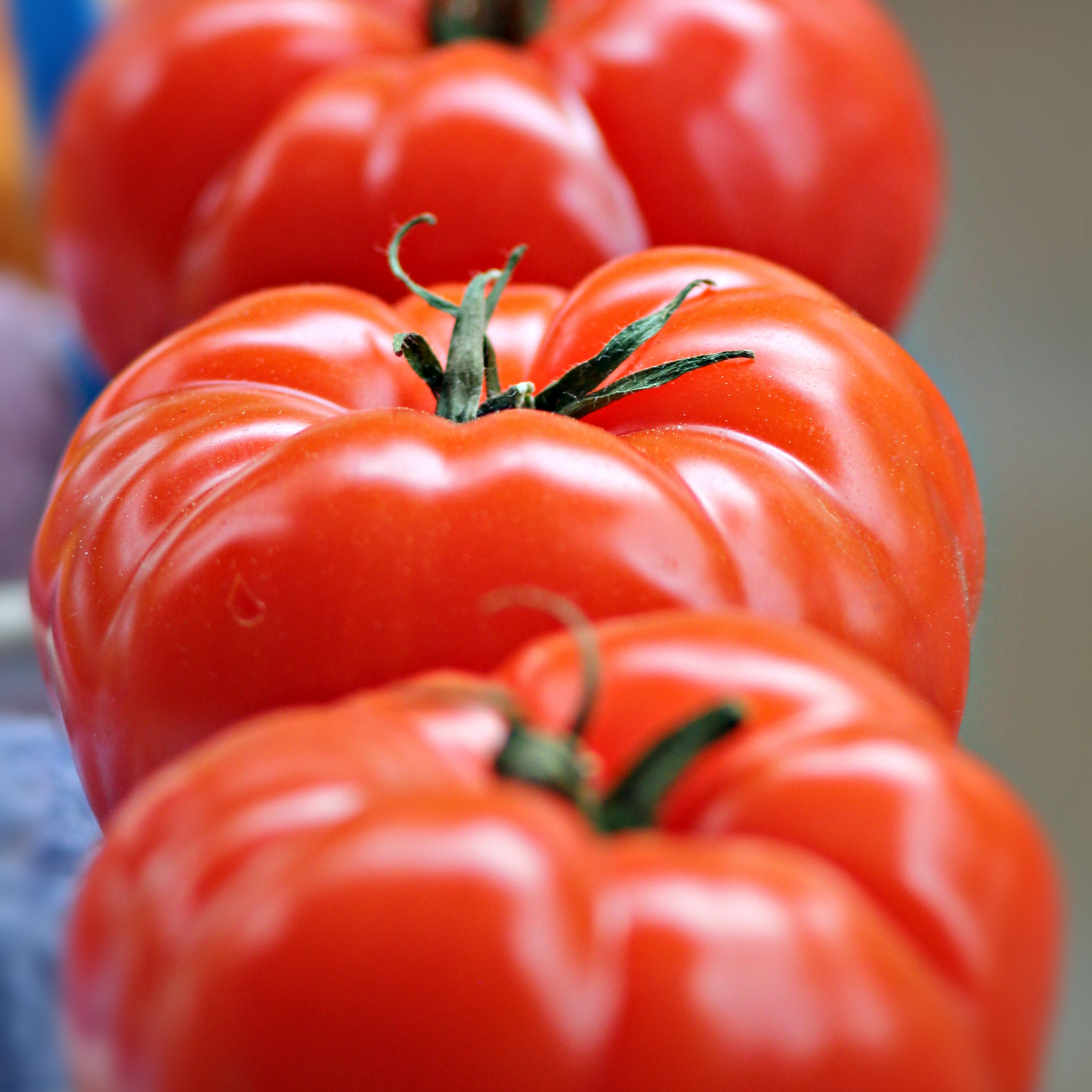 Tomato 'Big Beef'
