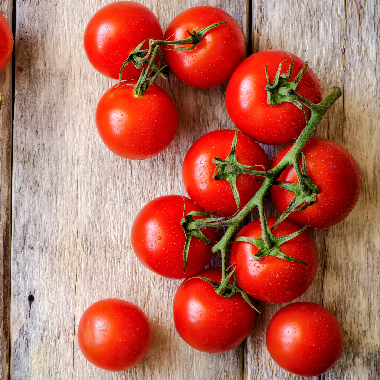 Tomato 'Supersweet 100'