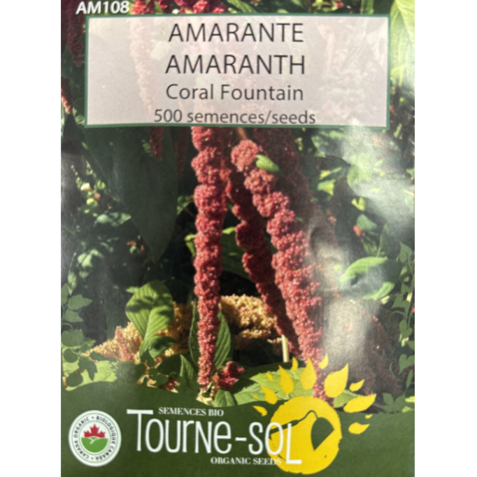 Tourne-Sol Amaranth Coral Fountain Pkg.