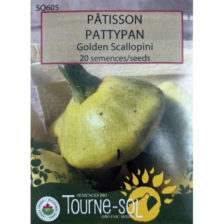 Tourne-Sol Pattypan Golden Scallopini