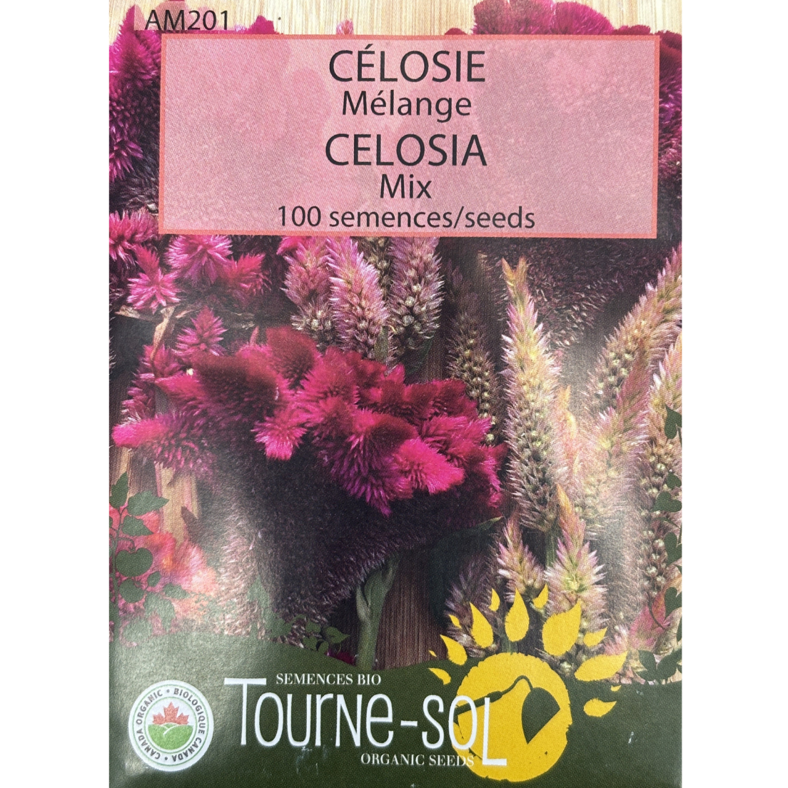 Tourne-Sol Celosia Mix Pkg.