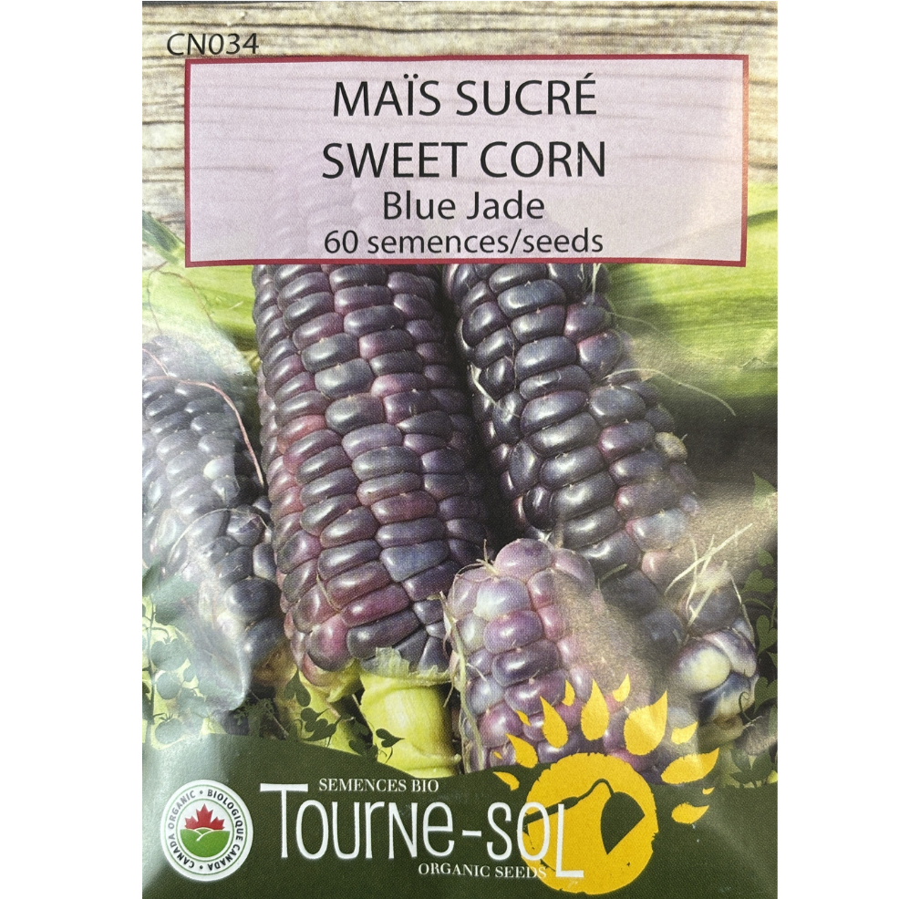 Tourne-Sol Corn Sweet Blue Jade Pkg.