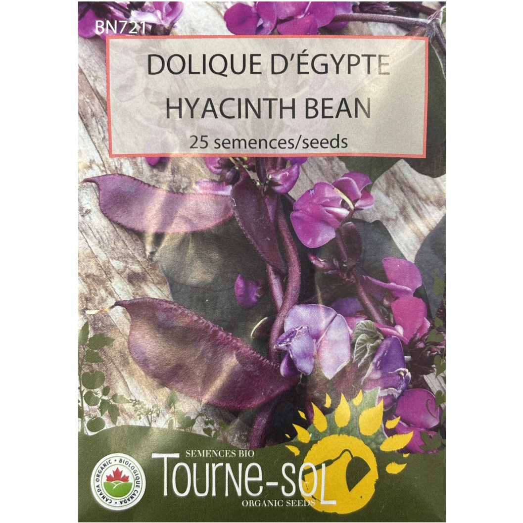 Tourne-Sol Bean Hyacinth Bean Pkg.