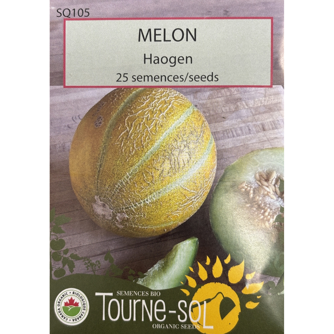 Tourne-Sol Melon Haogen Pkg.