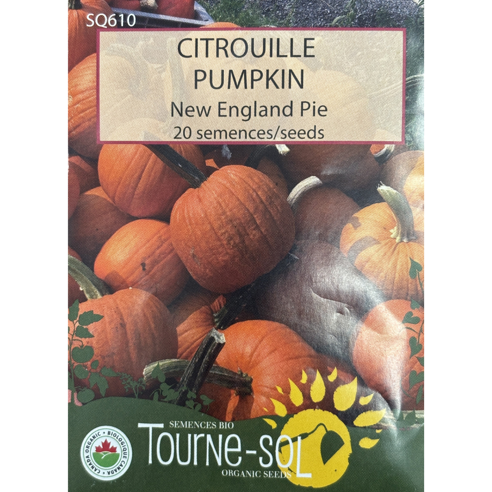 Tourne-Sol Pumpkin New England Pie Pkg.