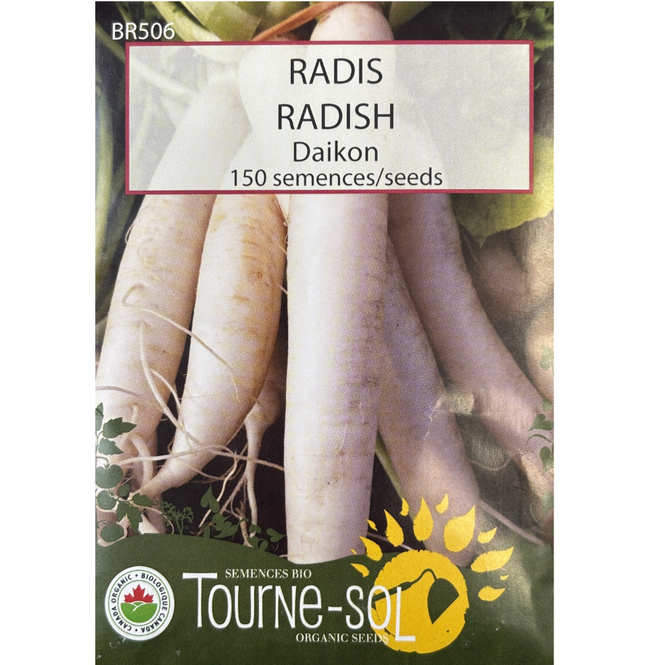 Tourne-Sol Radish Daikon Pkg.