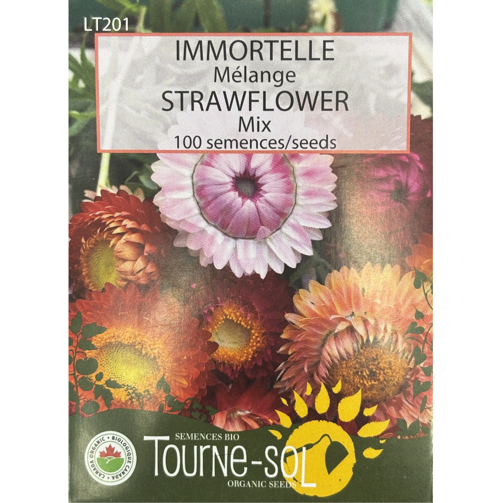 Tourne-Sol Strawflower Mix Pkg.