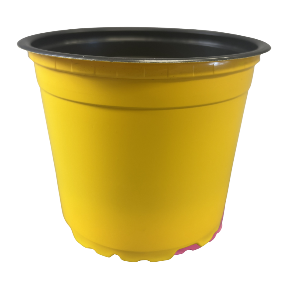 Nursery Pots Standard Assorted Colours 4.33"