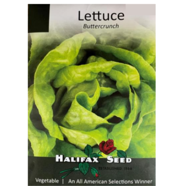 Halifax Seed Lettuce Buttercrunch Pkg.