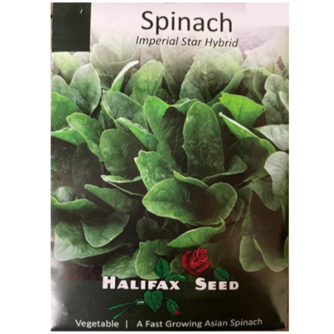 Halifax Seed Spinach Imperial Star Hybrid Pkg.
