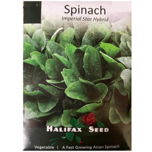 Halifax Seed Spinach Imperial Star Hybrid Pkg.