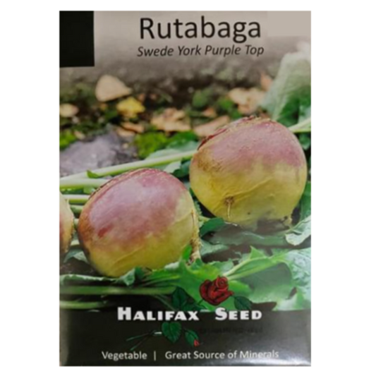 Halifax Seed Rutabaga Swede York Purple Top