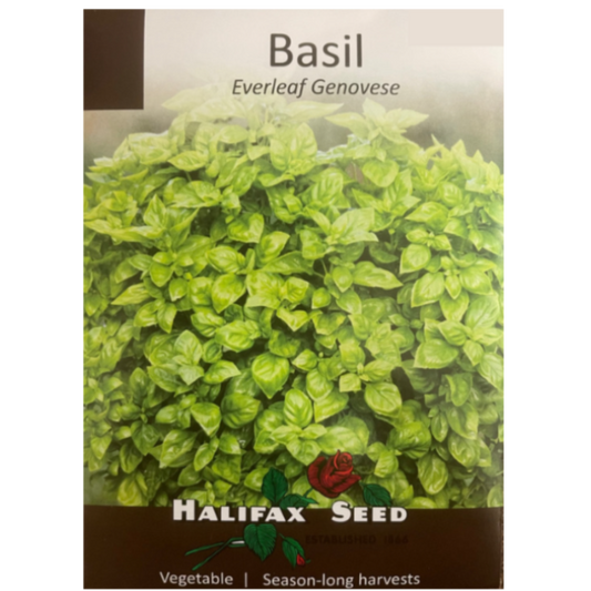Halifax Herb Seed Basil Everleaf Genovese Pkg.