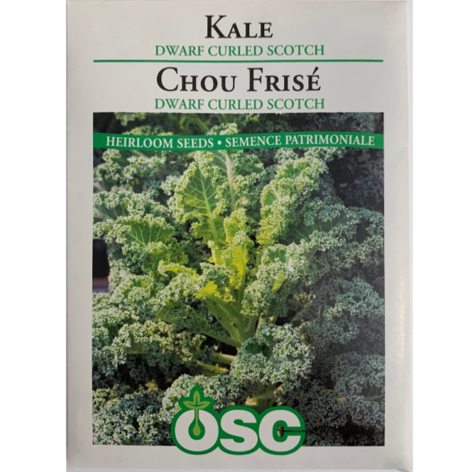 OSC Seeds Kale Dwarf Curled Scotch Pkg.