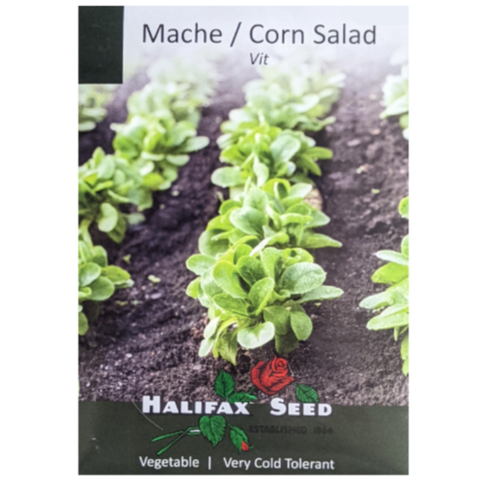 Halifax Seed Mache / Corn Salad Vit Pkg.