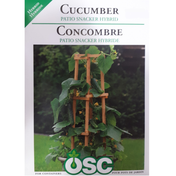OSC Seeds Cucumber Patio Snacker Hybrid Pkg.