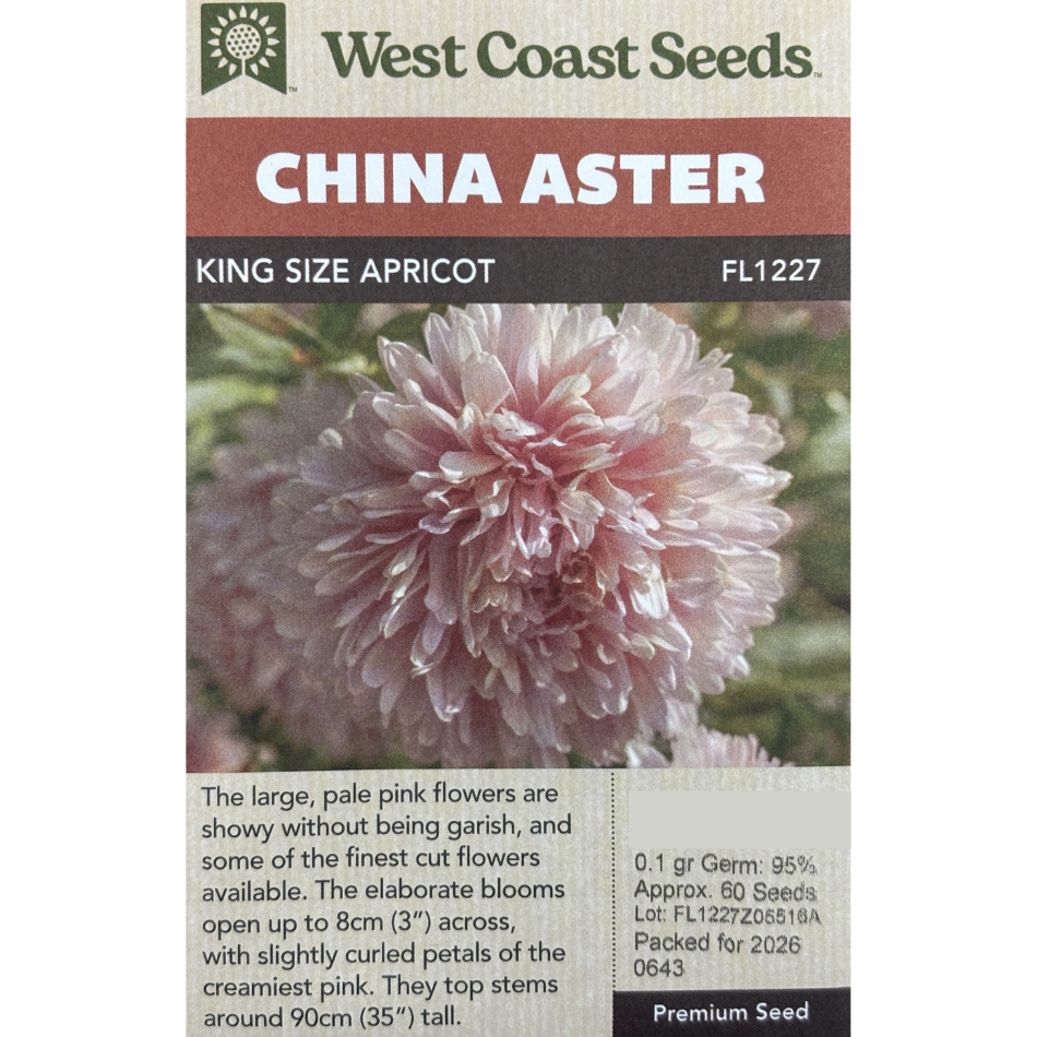 West Coast Aster Apricot King Size Pkg.