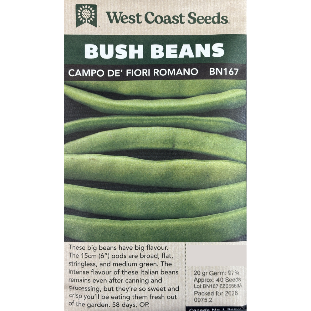 West Coast Bean Campo De Fiori Romano