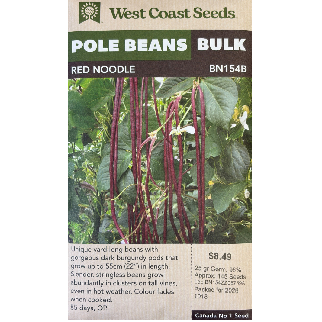West Coast Bean Red Noodle Pkg.
