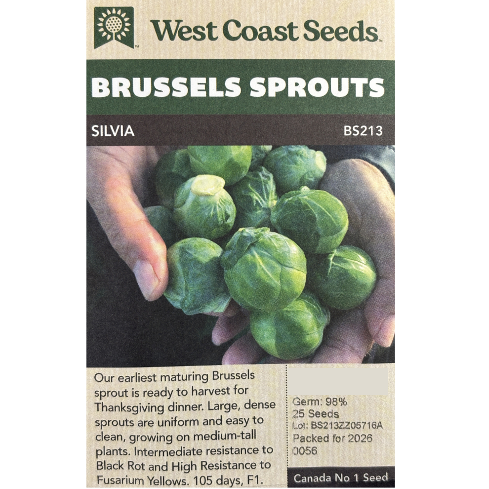 West Coast Brussels Sprouts Silvia