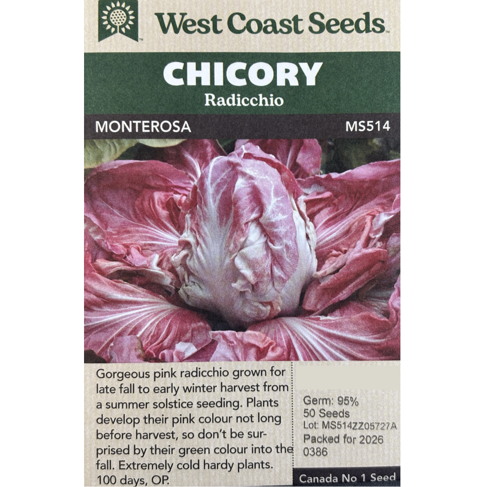 West Coast Chicory Radicchio Monterosa Pkg.