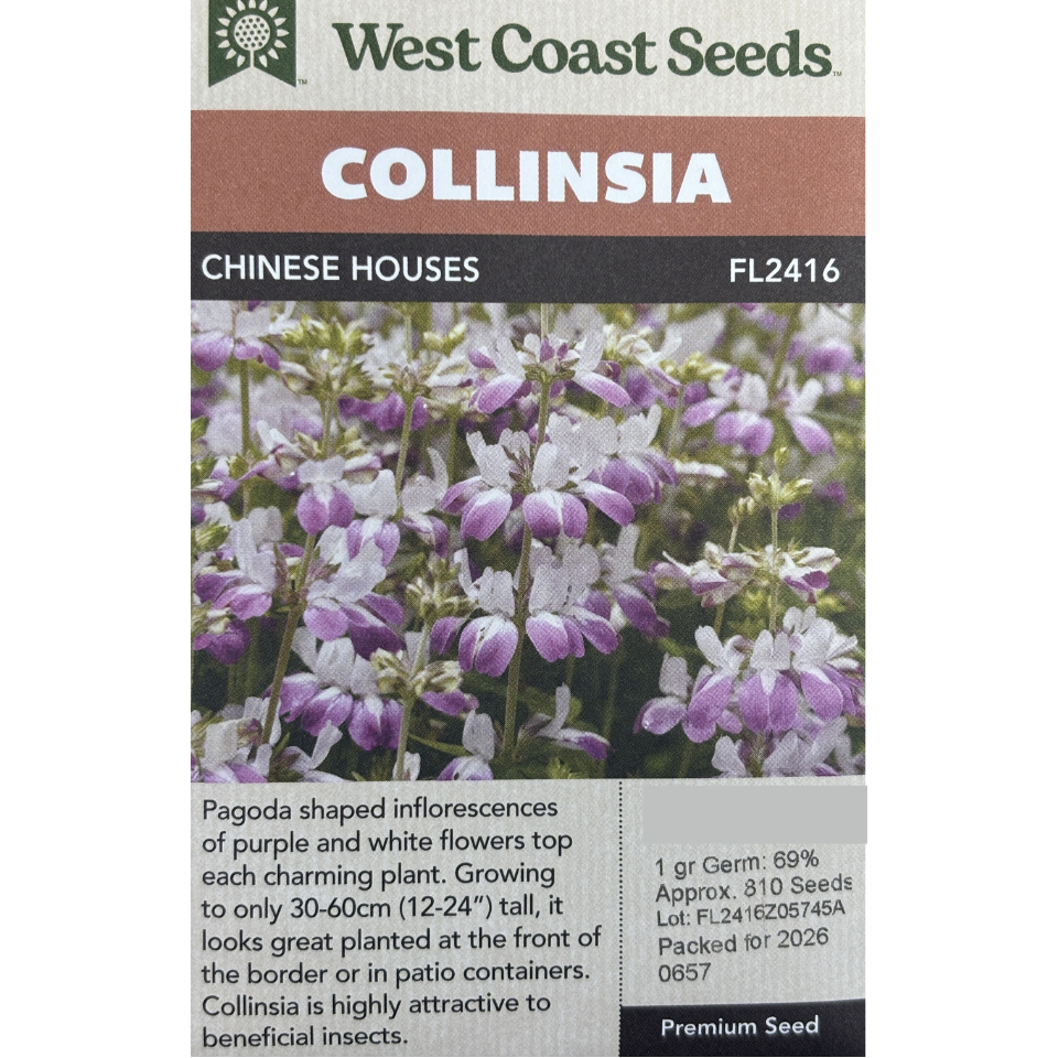West Coast Collinsia Chinese Houses Pkg.