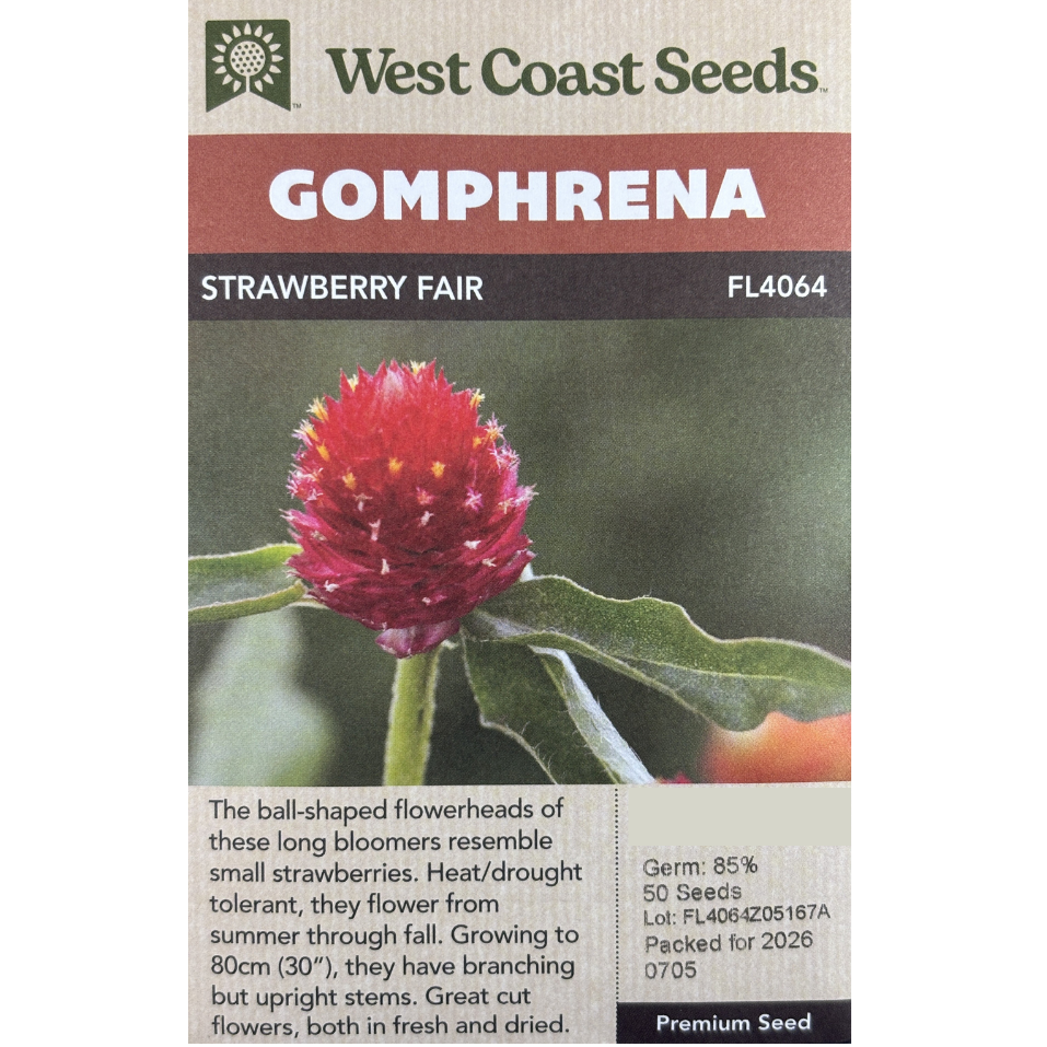 West Coast Gomphrena Strawberry Fair Pkg.