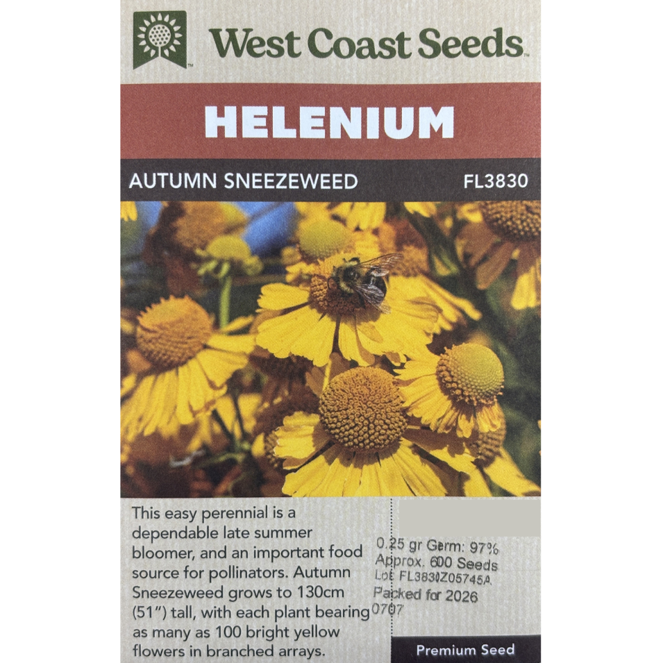 West Coast Helenium Autumn Sneezeweed Pkg.