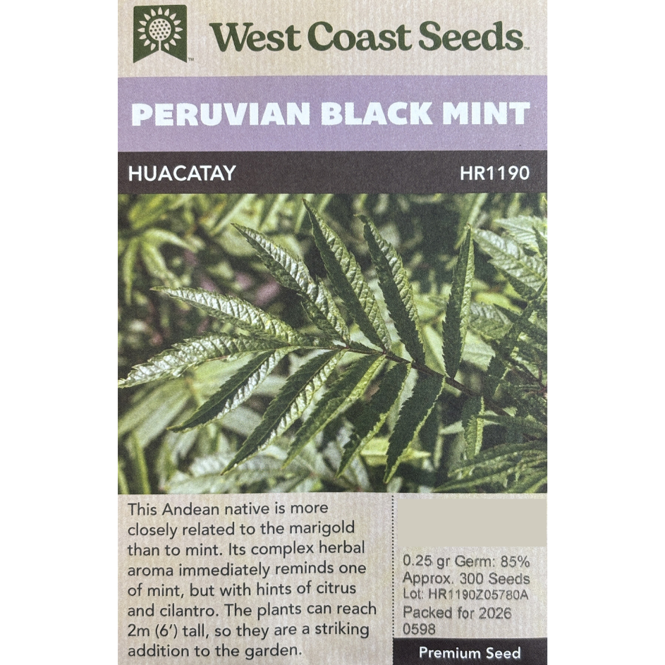 West Coast Mint Peruvian Black Pkg.