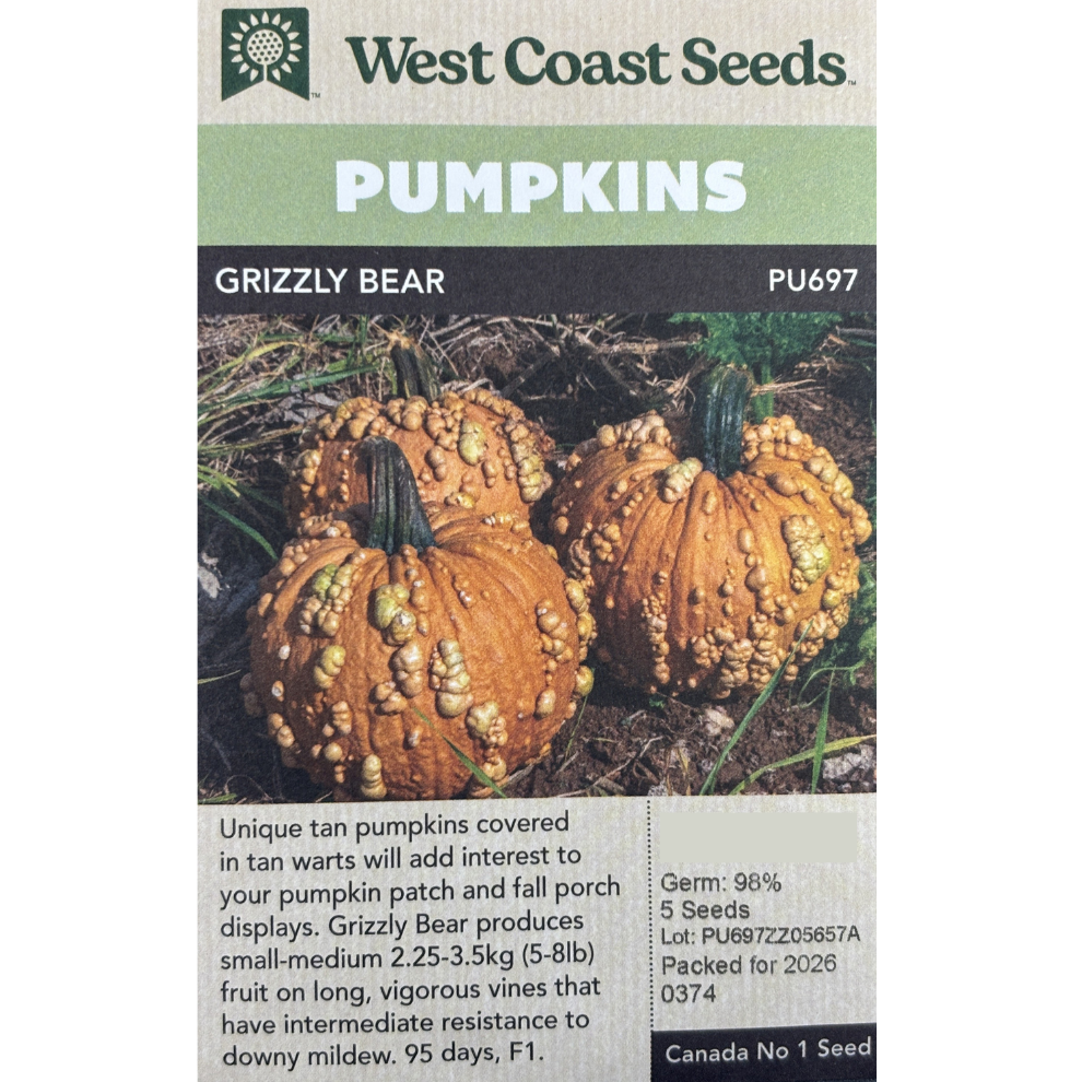 West Coast Pumpkins Grizzly Bear Pkg.