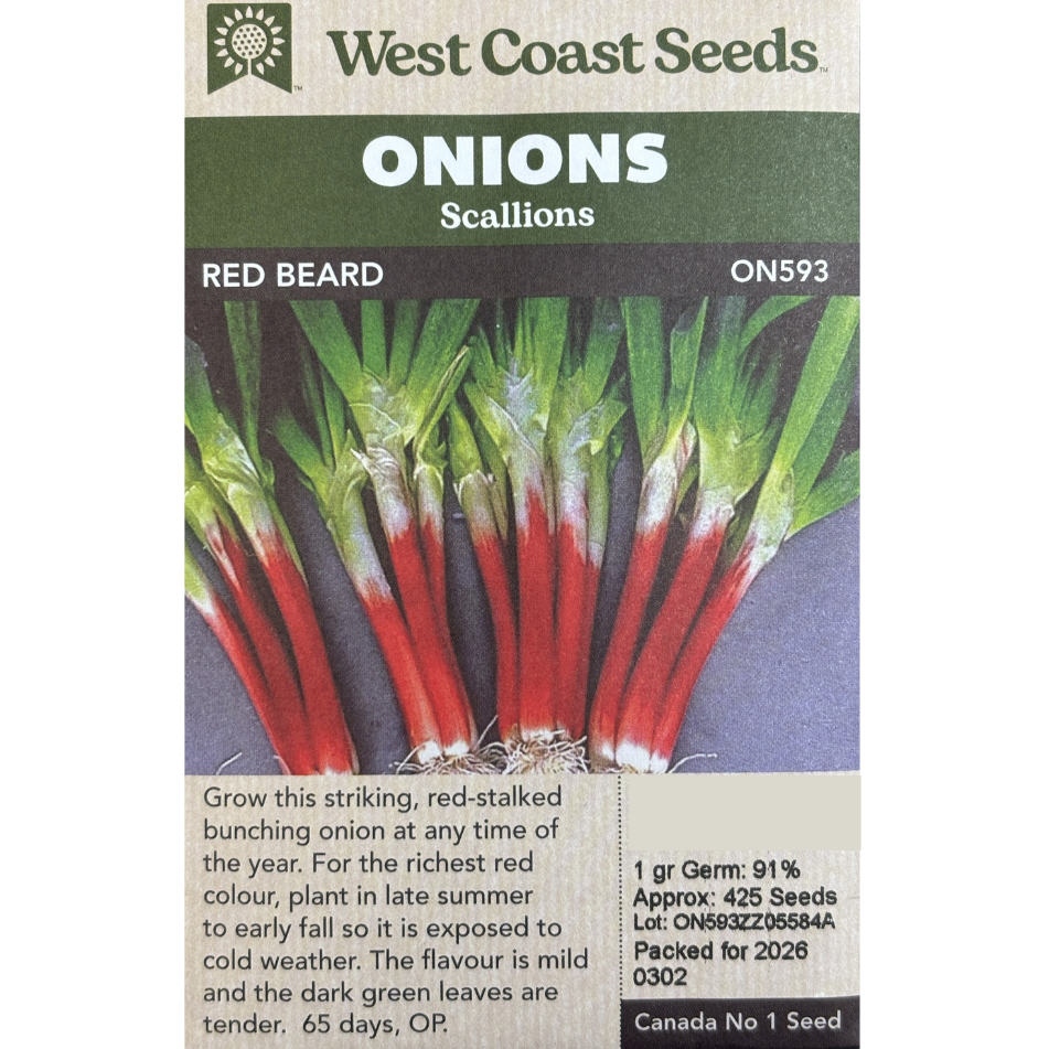 West Coast Scallions Red Beard Pkg.