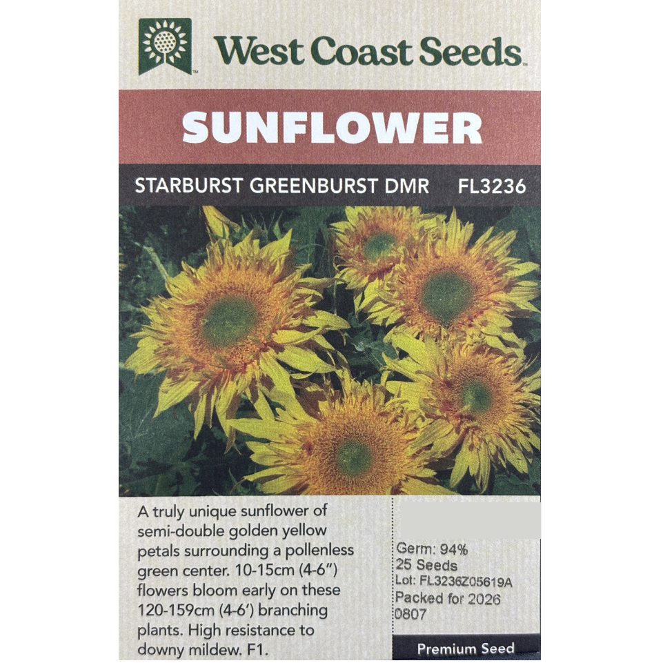 West Coast Sunflower Starburst Greenburst Pkg.