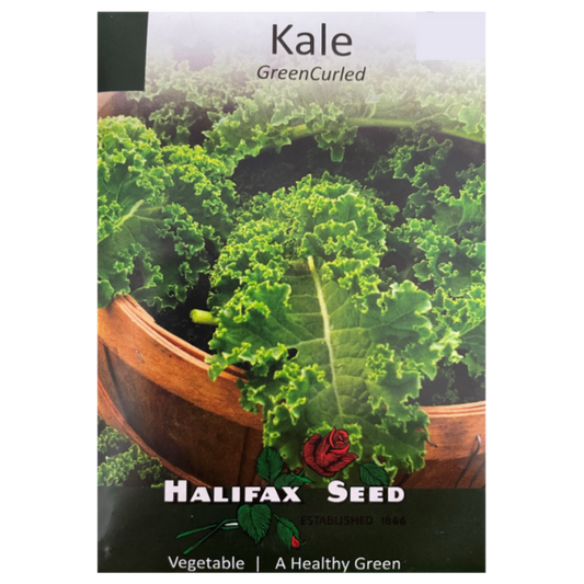 Halifax Seed Kale Green Curled Pkg.