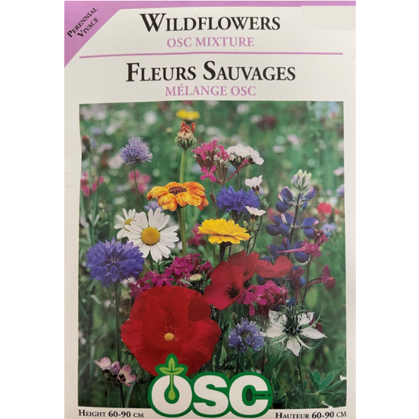 OSC Seeds Mix Wildflower