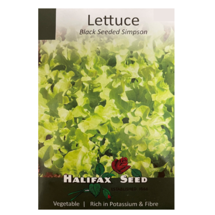 Halifax Seed Lettuce Black Seeded Simpson Ltd.