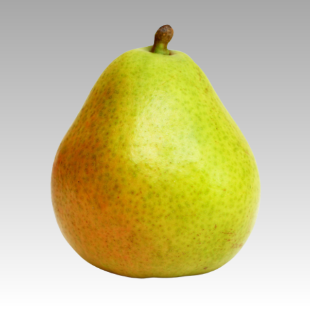 Pear Anjou 7gal