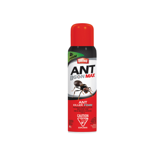 Ortho Ant Bgon Max Ant Killer Foam 400g