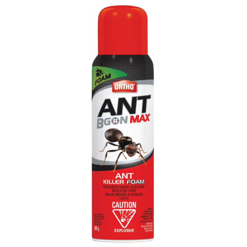 Ortho Ant Bgon Max Ant Killer Foam 400g