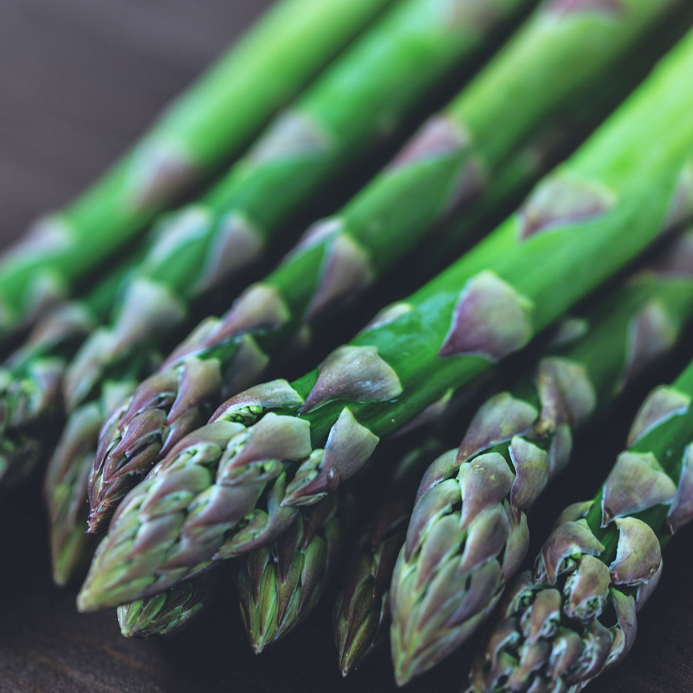 Asparagus Roots 'Eclipse'