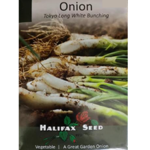 Halifax Seed Onion Tokyo Long White Bunching Pkg.