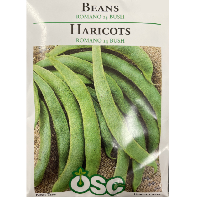 OSC Seeds Beans Romano 14 Bush Pkg.
