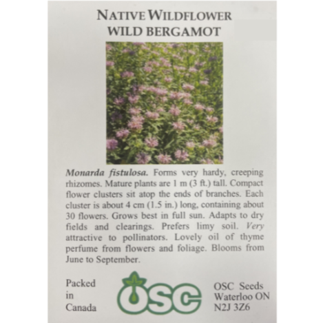 OSC Seeds Native Wildflower Wild Bergamot