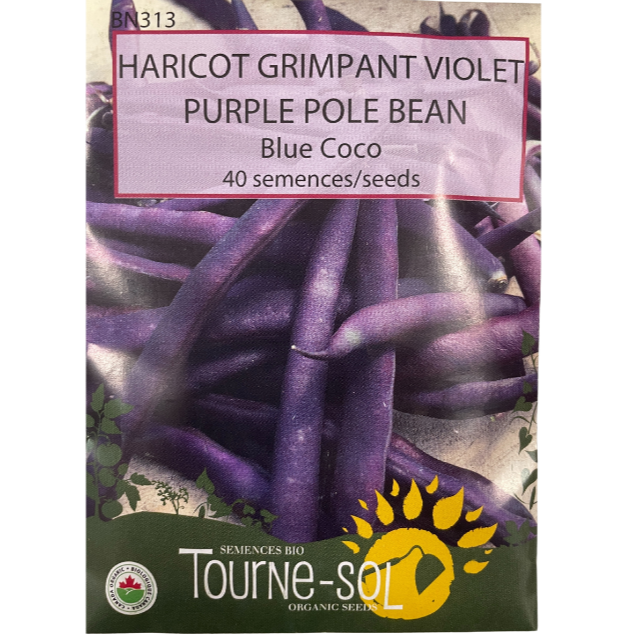 Tourne-Sol Bean Purple Blue Coco Pole Pkg.