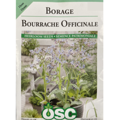 OSC Herb Seeds Borage Pkg.