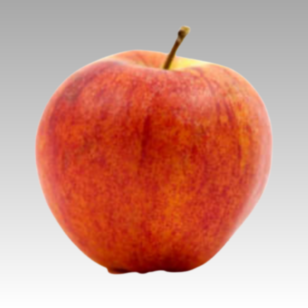 Apple Buckeye Gala 3gal