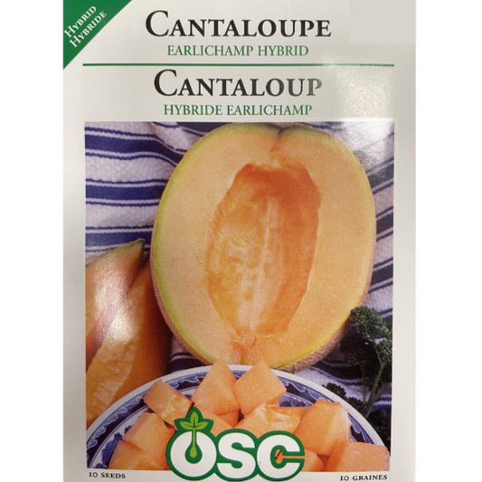 OSC Seeds Cantaloupe Earlichamp Hybrid Pkg