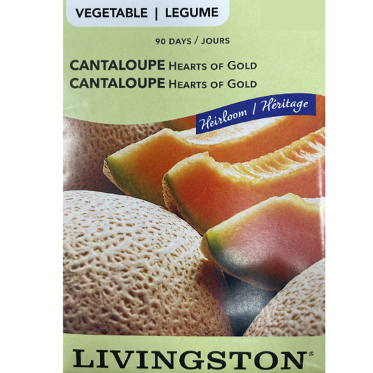 Livingston Seeds Cantaloupe Hearts of Gold Pkg
